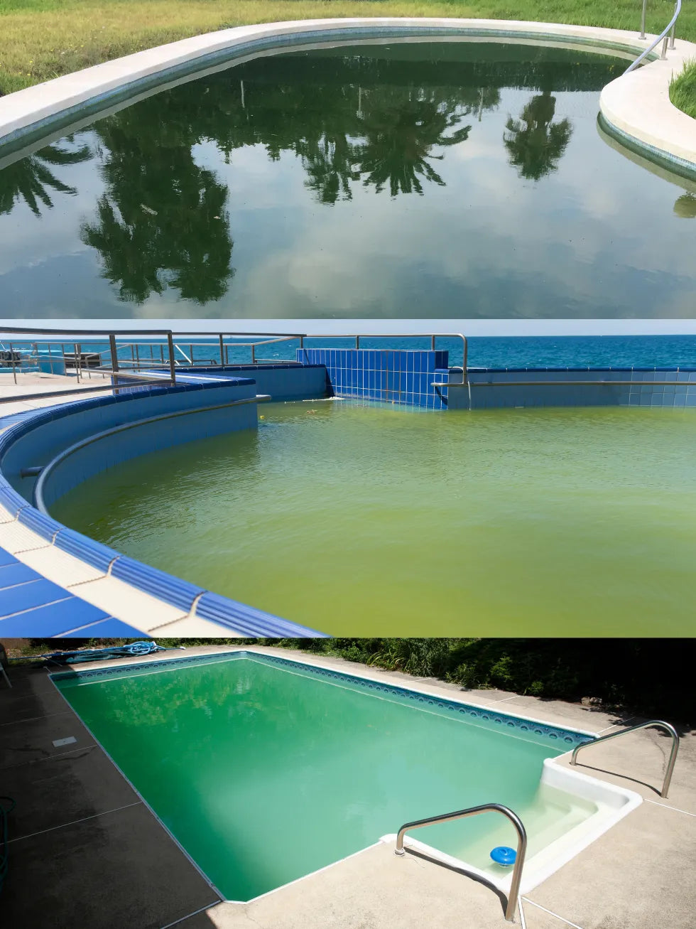 Piscinas con algas que se pueden tratar con el alguicida Lo-Chlor