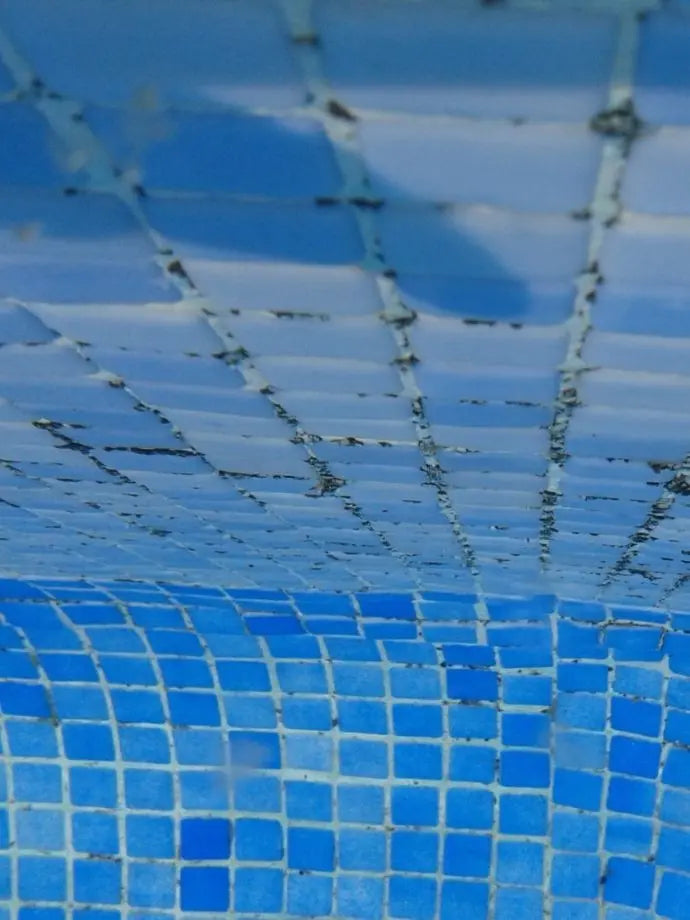Algas negras en piscina