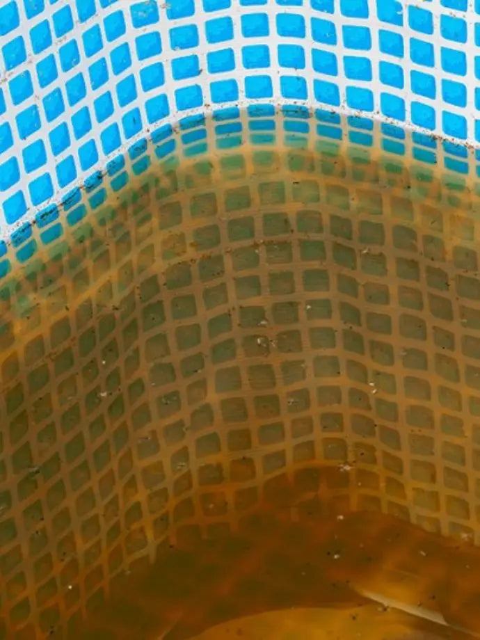 Agua de piscina con metales